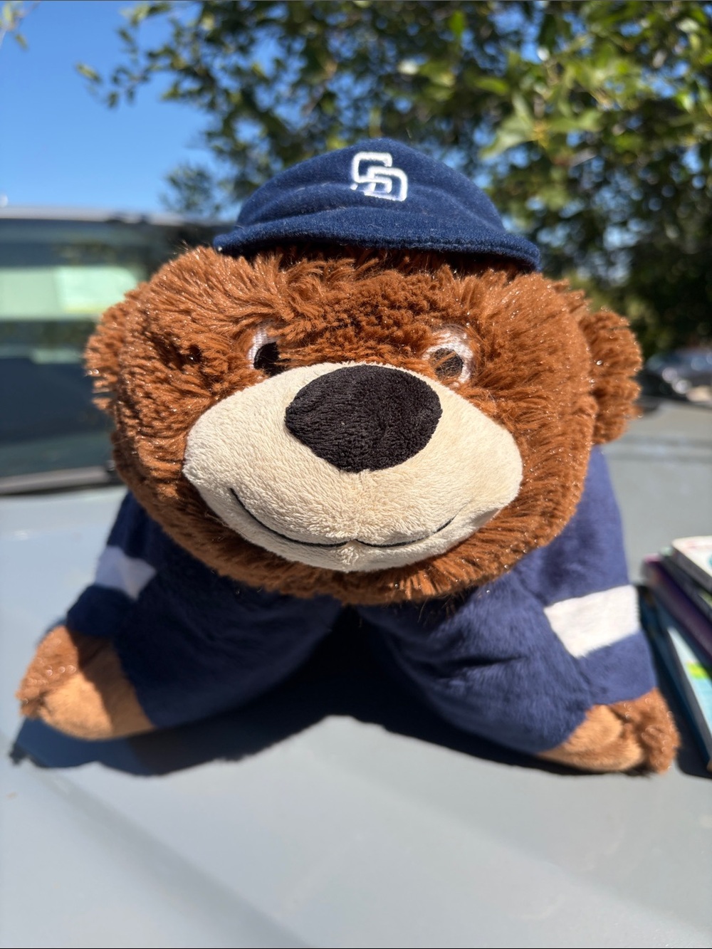 Padres Pillow Pet